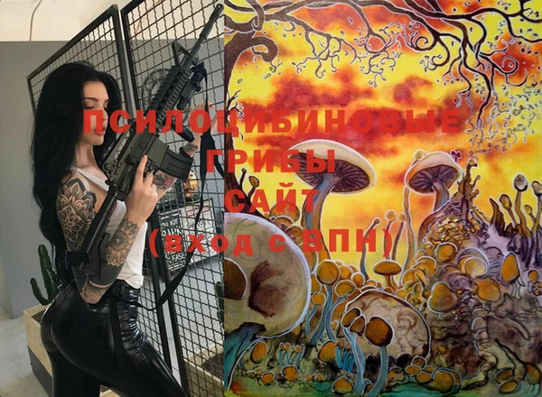 спиды Вязники